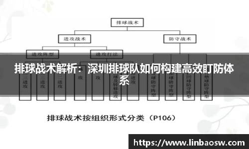 排球战术解析：深圳排球队如何构建高效盯防体系