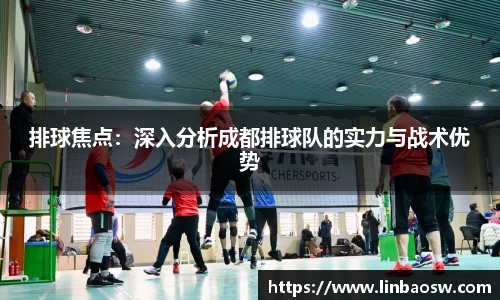 排球焦点：深入分析成都排球队的实力与战术优势