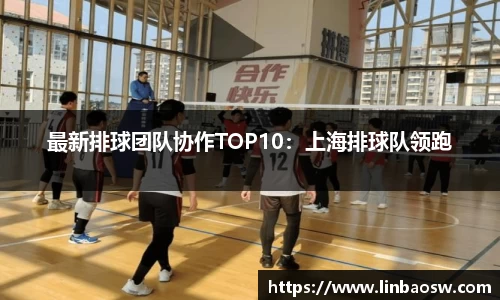最新排球团队协作TOP10：上海排球队领跑
