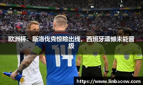 mk体育官网