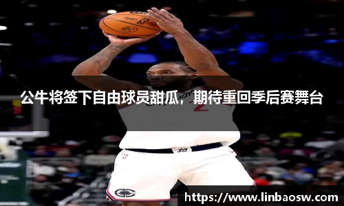 公牛将签下自由球员甜瓜，期待重回季后赛舞台