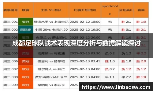 成都足球队战术表现深度分析与数据解读探讨