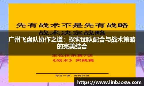 广州飞盘队协作之道：探索团队配合与战术策略的完美结合