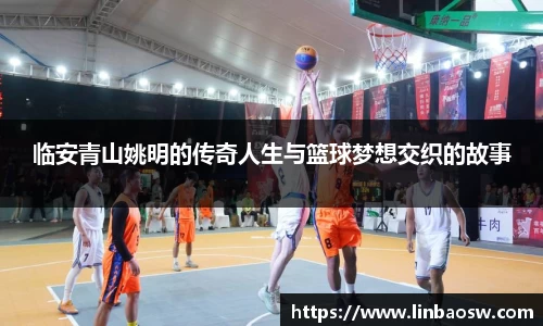 临安青山姚明的传奇人生与篮球梦想交织的故事