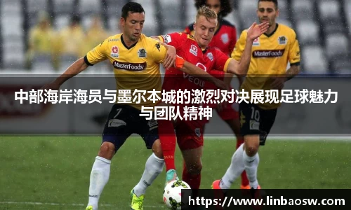mk体育