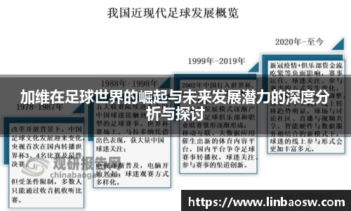 加维在足球世界的崛起与未来发展潜力的深度分析与探讨
