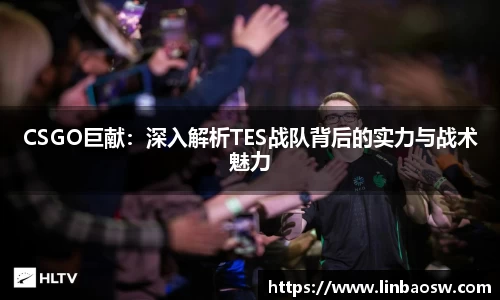 CSGO巨献：深入解析TES战队背后的实力与战术魅力