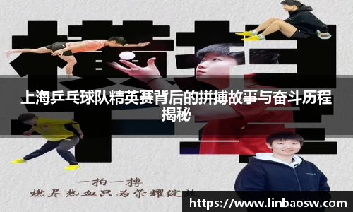 上海乒乓球队精英赛背后的拼搏故事与奋斗历程揭秘