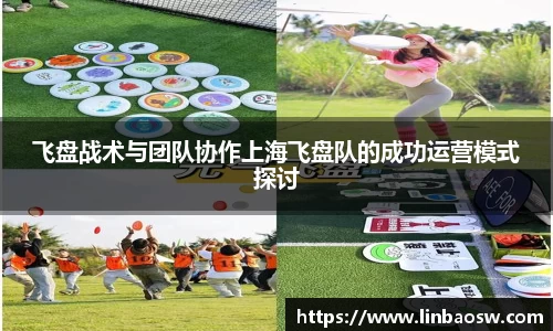 飞盘战术与团队协作上海飞盘队的成功运营模式探讨