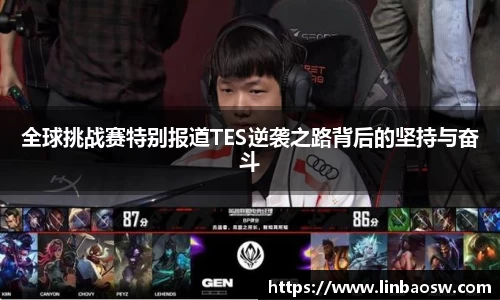 mk体育